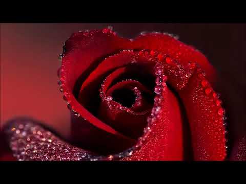 Mircea Chiriac (1919-1994): Spitalul amorului (The hospital of love, 1968)