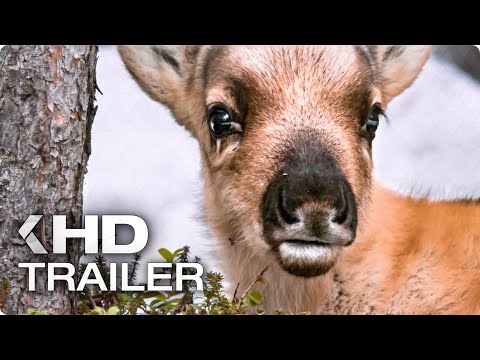 AILOS REISE Clip & Trailer German Deutsch (2019) Exklusiv