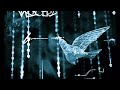 Genius Of The Crowd - Bluebird (Official Lyric Video)