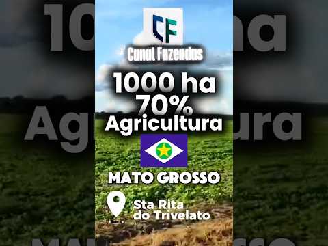 100% Mecanizável e Pronta! Fazenda de 1.004 Hectares no MT (580 mil sacas de soja)