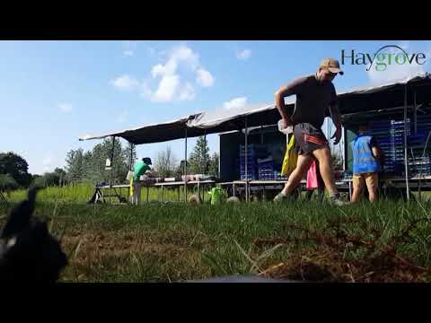 Haygrove - Cosmin Team 2019