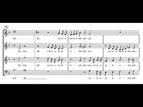 Video thumbnail for Verba mea auribus percipe, Domine,