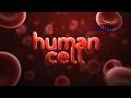 Cells 3D Animation