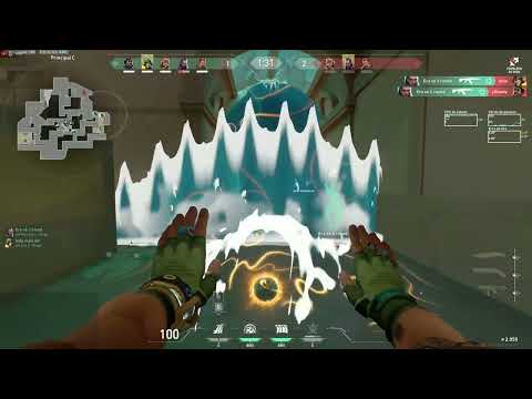 COMP - SQUAD - DIMA 1 - CONTROLADOR - HARBOR - LOTUS