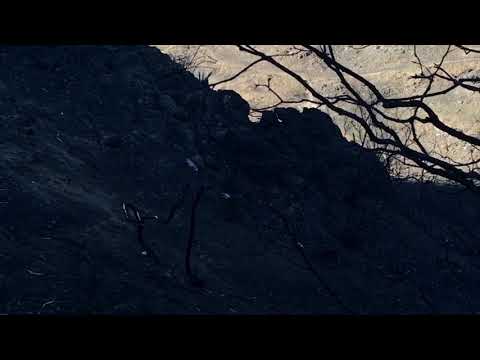 “BIGFOOT NOT FAR”