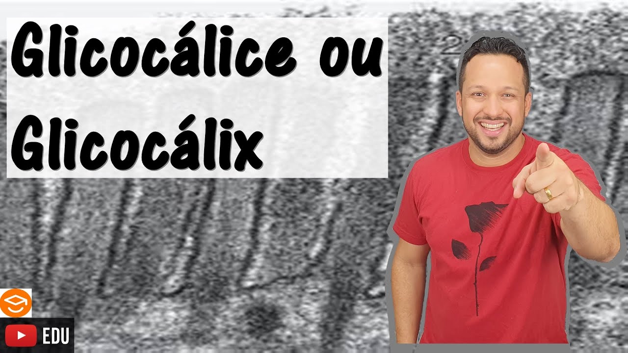 Glicocálice ou Glicocálix - Resvestimento da Membrana - Membrana Plasmática - Citologia