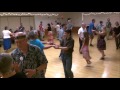 Dick's Maggot • English Country Dance