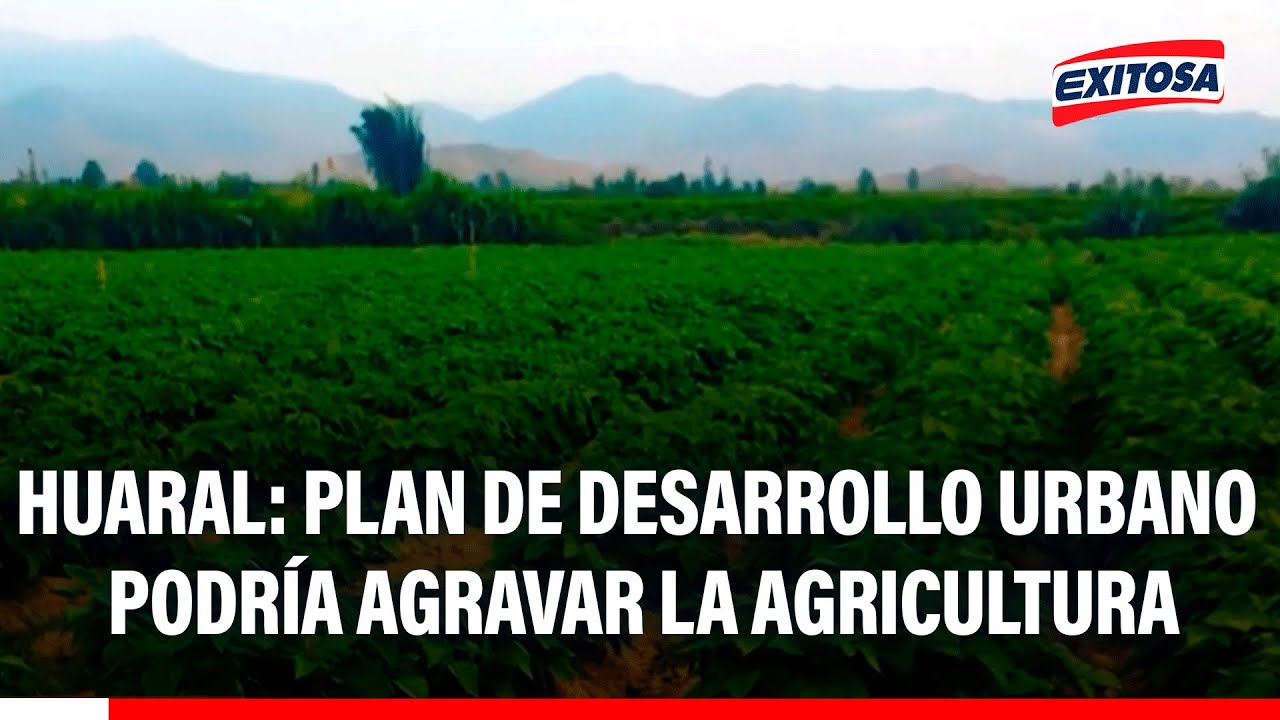 Huaral: Plan de desarrollo urbano recién aprobado podría agravar la agricultura