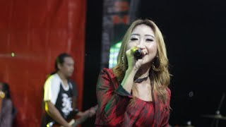 Download lagu Satu Rasa Cinta - Iffa Laila | New Elshinta mp3 Download lagu Satu Rasa Cinta - Iffa Laila | New Elshinta mp3