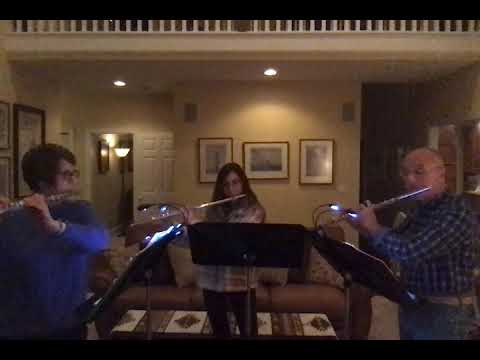 Trio a Capriccio "Harry in Winter" by Patrick Doyle arr. by Tsuyoshi Yoroiguma flute trio