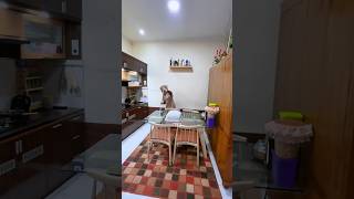Download lagu Should I accept government aid or not??? #adayinmylife #minivlog #fyp #viralvideo #shorts mp3