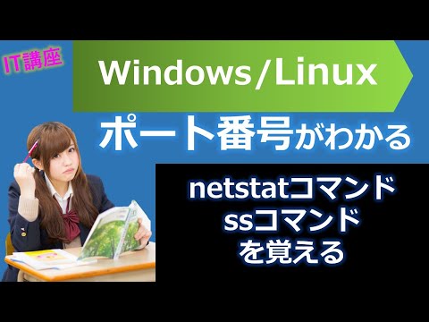 Netstatについて詳しく解説