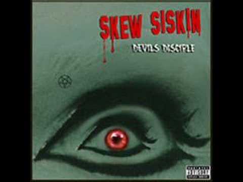 Skew Siskin - sniffin´ the dirt