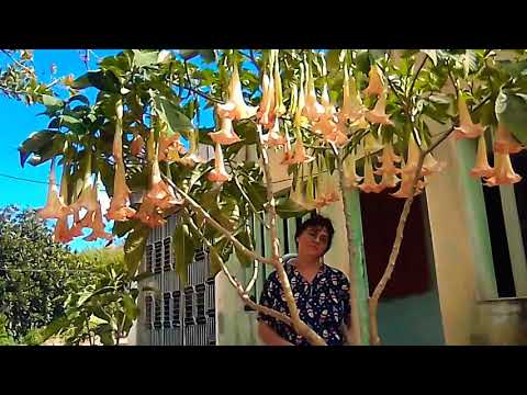 Evangelho do dia 10/08/2020 salmo, segunda leitura , primeira leitura