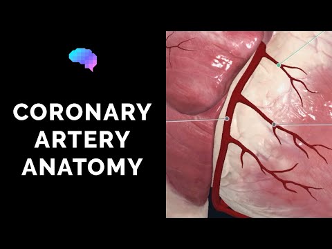 Coronary Artery Anatomy (3D Anatomy Tutorial) | UKMLA | CPSA