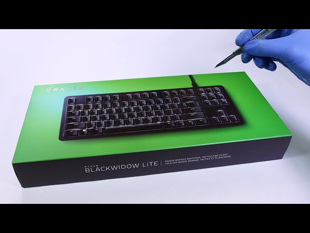 Bàn Phím Cơ Razer Blackwidow Lite Black (Orange Switch | TKL | LED White)