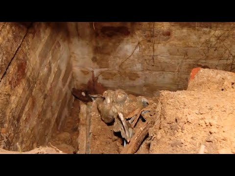 Продолжение истории о Хойникском склепе. Специалисты выяснили, кто в нем похоронен видео