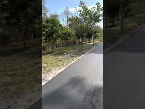 Central Florida Paving | 35 Years of Asphalt Paving Experience (3)