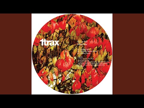 Want Me (Original Mix)