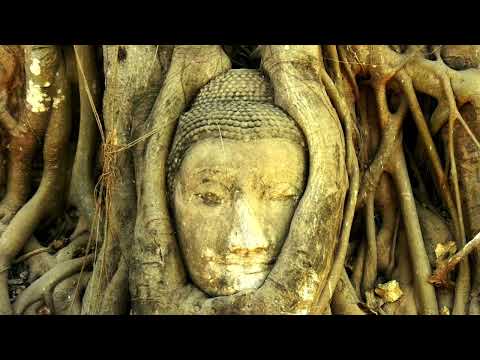 Slow Nomaden - Organic House & Ethno House DJ Mix