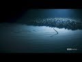 Planet Earth: Blue Planet II | Brine Pool | Coming to BBC America 2018 - BBC America Planet Earth: Blue Planet II | Brine Pool | Coming to BBC America 2018