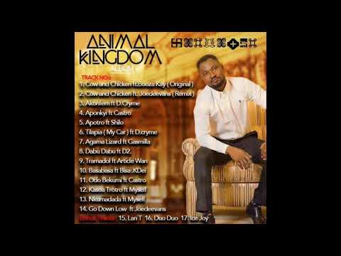 Funny Face - Basabasa ft Bisa Kdei