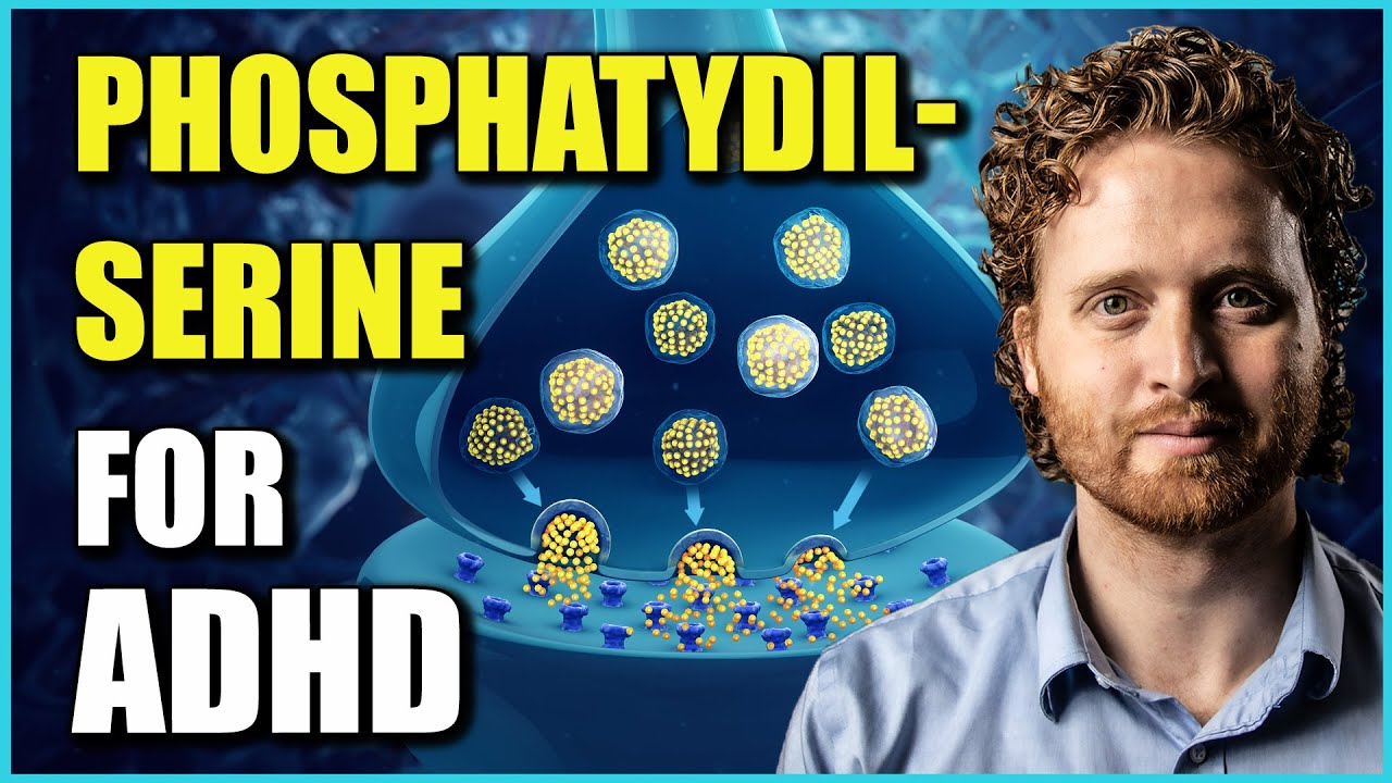Phosphatidylserine Benefits For ADHD (The Research Explaining Why)