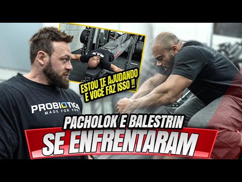 PACHOLOK E BALESTRIN SE ENFRENTARAM - VEJA O QUE ACONTECEU !!!