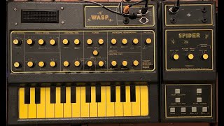 Video thumbnail for EDP Wasp, Spider and Small Stone - synthesizer, sequencer - Electronic Dream Plant, Electro Harmonix by Chekmate 99