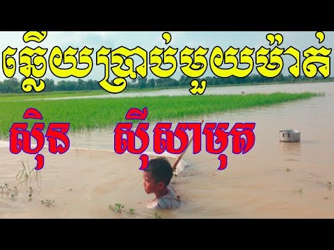 Chhlery Prab Muoy Mat, ឆ្លើយប្រាប់មួយម៉ាត់, in Sisamuth Song, Khmer Old Song