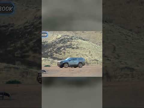 Unbelievable Car Survives Bomb Blast - Witness the Astonishing Proof! #mrbeast #mrbeastnewvideo