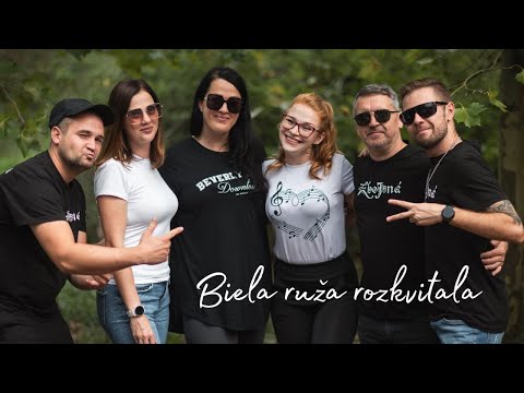 ZBOJNÁ - Biela ruža rozkvitala