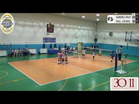 CAMPIONATO 1 DIVISIONE