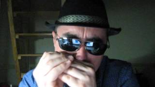 Hoodoo Man Blues -Snatch it back and hold it (Harmonica cover)