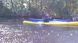 preview picture of video 'Kayaking on Lofton Creek with Up The Creek Xpeditions'