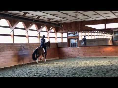 Sons of the Wind Presents Harry Potter