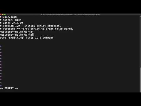 Shell Scripting 101 Using Variables