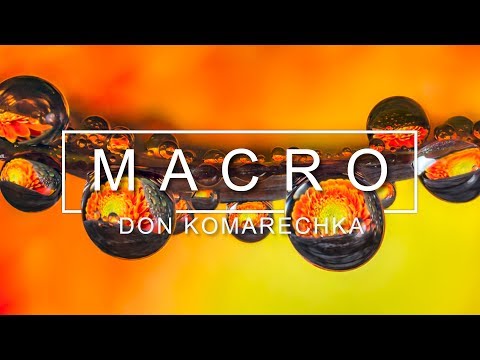 hands on macro photography at home tips by don komarechka