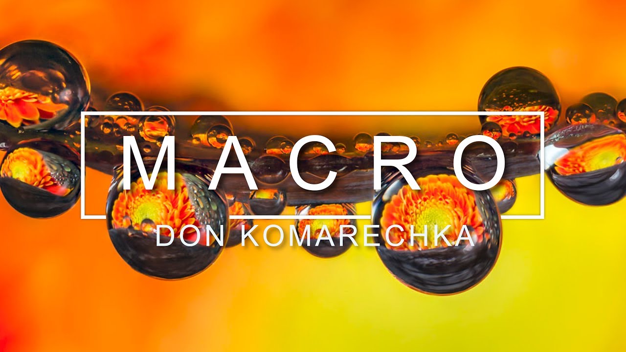 Hands on macro photography at home tips by don komarechka