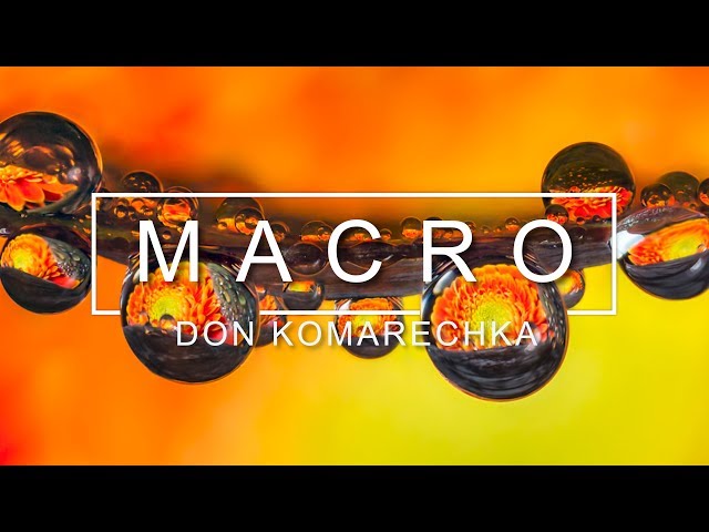 Hands on macro photography at home tips by don komarechka
