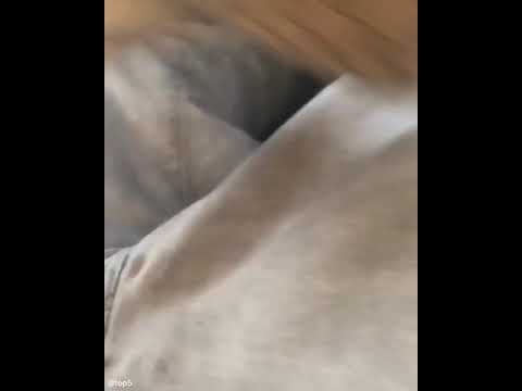 TOP 5 SHOWS OFF DJ SNOOPY’S SNATCHED CHAIN