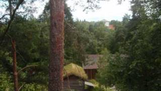 NORWAY (korpiklaani - with trees)