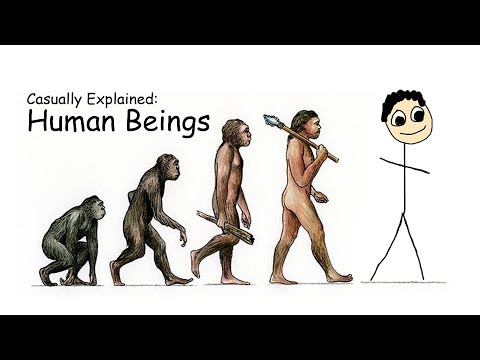 Casually Explained: Human Beings