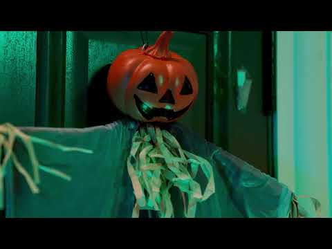 Halloween-Dekorationen 42020045 Schwarz - Polyester - 110 x 1 x 66 cm