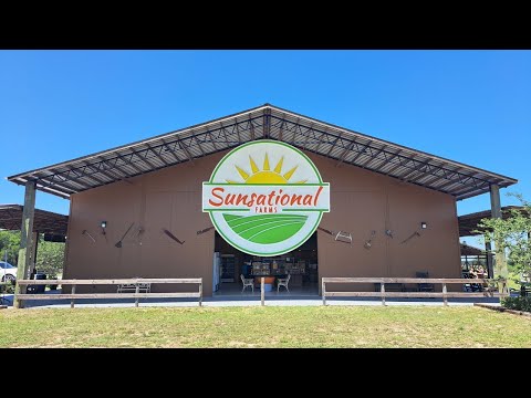 WTFCF S4.E02: Sunsational!