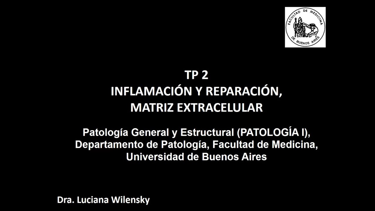 TP2 Inflamación, Reparación y MEC - Dra Luciana Wilensky