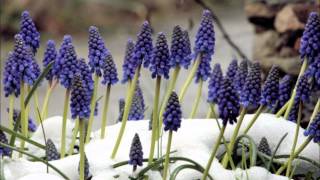 Mon fils  Johnny Hallyday