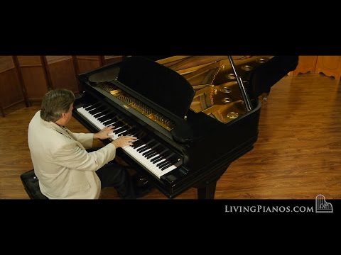 Baldwin Model D Concert Grand Piano for Sale - Living Pianos