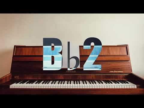 Improve Your Musical Skills: B♭2 Note for Accuracy and Precision