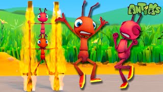Download lagu Joey and Boo Aren't Fire Resist-ANT 🧯 | 🐜 Antiks 🐜 | Funny Cartoons for Kids | Moonbug mp3